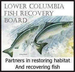 Click to go to the Lower Columbia Fish Recovery Board website